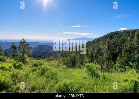 Largo Hollow si affaccia lungo la Utah Scenic Byway 12 vicino a Torrey, Utah Foto Stock