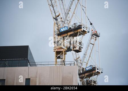 Gru che lavorano per lo sviluppo di grandi dimensioni presso il NHS Royal County Sussex Hospital RSCH di Brighton UK Foto Stock