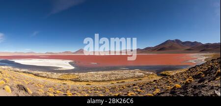 Splendida vista panoramica sui fenicotteri rosa di james a Laguna Colorada (laguna). Splendido paesaggio di spettacolari Ande Boliviane e Altiplano in magnif Foto Stock