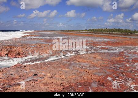 Rangiroa Atoll Reef, polinesia francese Foto Stock