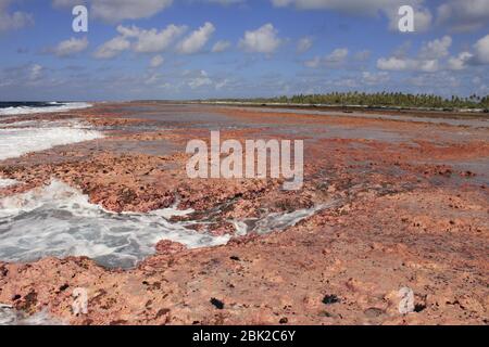 Rangiroa Atoll Reef, polinesia francese Foto Stock