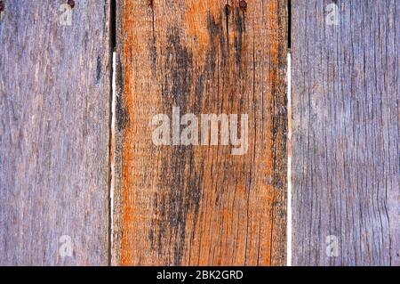 Vecchio scudo di legno con graffi e scheggiature. Foto Stock