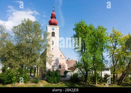 Orth an der Donau: chiesa Orth, a Donau, Niederösterreich, bassa Austria, Austria Foto Stock