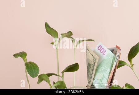 euro e dollari con piante giovani in crescita su sfondo beige, concetto di crescita. spazio copia Foto Stock