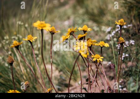 Bei paesaggi, sulla strada per Jujuy, Argentina Foto Stock