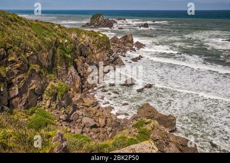 Capo Foulwind sulla sinistra, vicino a Seal Colony, Tasman Sea, vicino Westport, West Coast Region, South Island, Nuova Zelanda Foto Stock