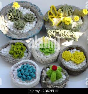 Sorprendente prodotto fatto in casa per la decorazione domestica, gruppo di succulente, cactus crochet da filato verde in pentola di cemento su sfondo bianco, impianto artigianale f Foto Stock