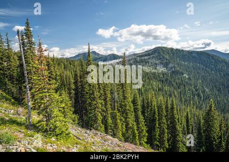 La sezione di Washington del Pacific Crest Trail nelle Cascate del Nord con vista sulle montagne e i pini. Foto Stock