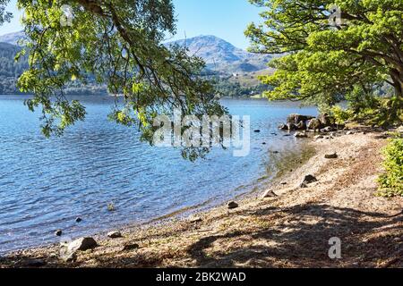 Loch Arklet, guardando verso ovest, vicino a Stronachlacher, Stirlingshire; trossachs National Park, Sccotland UK Foto Stock