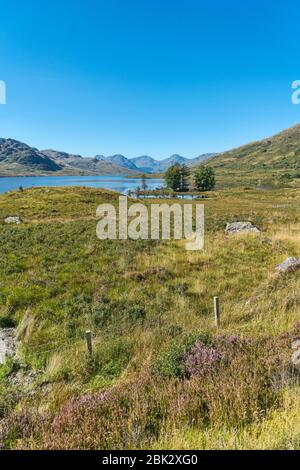 Loch Arklet, guardando verso ovest, vicino a Stronachlacher, Stirlingshire; trossachs National Park, Scozia Regno Unito Foto Stock