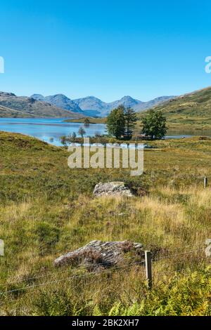 Loch Arklet, guardando verso ovest, vicino a Stronachlacher, Stirlingshire; trossachs National Park, Scozia Regno Unito Foto Stock