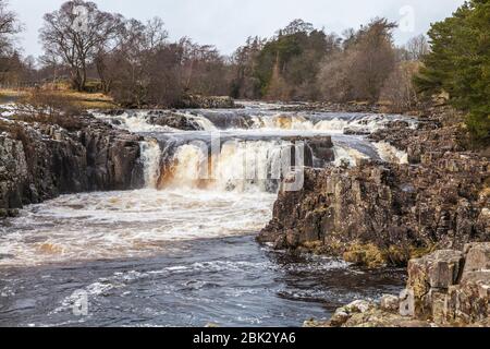 Le cascate a bassa forza,Teesdale,l'Inghilterra,UK Foto Stock