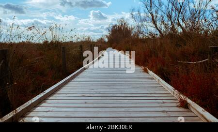 legno da strada sano ispirando stile di vita Foto Stock