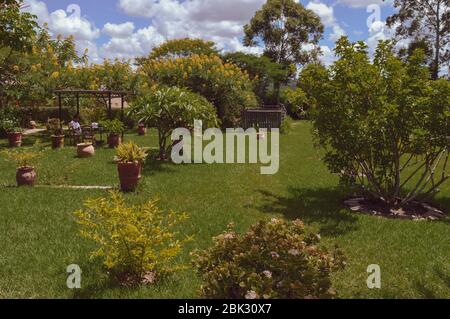 DEDZA, MALAWI, AFRICA - 25 MARZO 2018: Scenario luminoso del cortile della ceramica di Dedza. Paesaggi malawie, campi con erba verde e fiori in vasi intorno. Foto Stock