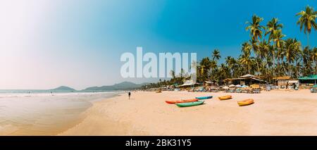 Canacona, Goa, India. Canoa Kayak in affitto parcheggiato sulla famosa spiaggia di Palolem sullo sfondo Tall Palm Tree in estate Sunny Day. Foto Stock