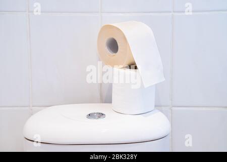 Rotoli di carta igienica posti sopra una cisterna di carta igienica Foto Stock