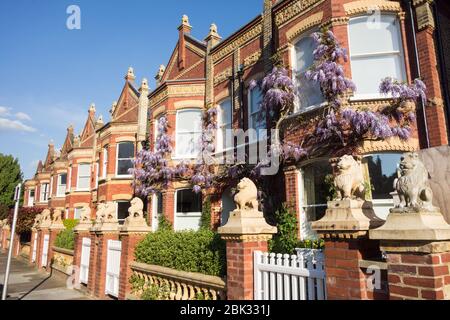 Statue di leoni sulle gabbie e i gatedposts di Wisteria Clad Lion Houses a Barnes, Londra, SW13, Regno Unito Foto Stock