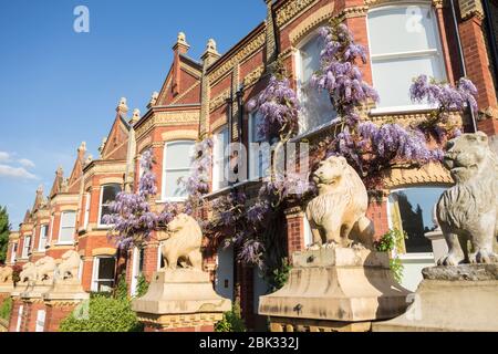 Statue di leoni sulle gabbie e i gatedposts di Wisteria Clad Lion Houses a Barnes, Londra, SW13, Regno Unito Foto Stock