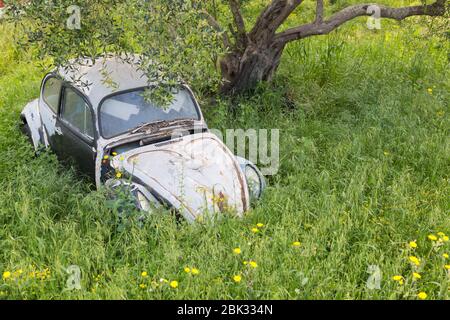 Una vettura arrugginita abbandonata (Mini) sommerse da un lungo prato a Paxos, Grecia Foto Stock