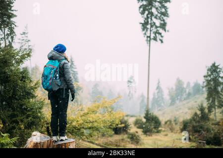 Giovane donna Signora in piedi sul moncone nella foresta e guardando in lontananza nella zona di deforestazione. Vista posteriore. Foto Stock