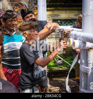 Preparazione per la Cremazione reale di Ubud, Ubud, Bali Indonesia Foto Stock