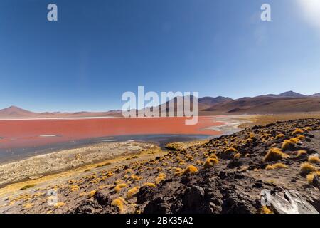 Splendida vista panoramica sui fenicotteri rosa di james a Laguna Colorada (laguna). Splendido paesaggio di spettacolari Ande Boliviane e Altiplano in magnif Foto Stock