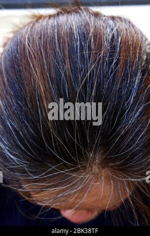 Foto ravvicinata della testa di una donna con capelli marroni, neri e grigi. Foto Stock