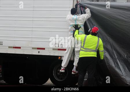 30 aprile 2020, New York, New York, USA: L'uomo in una t-shirt gialla sostiene con la mano il suo collega vestito con un nocciola, Chi fissa un telone sul retro di un camion refrigerato grande per essere fuori vista accanto alla Andrew T. Cleckley funeral Home a Brooklyn dove cadaveri non adeguatamente curati sono stati rimossi. 60 corpi sono stati immagazzinati in 4 veicoli non rigenerati che fiancheggiano la strada negozi vicini. I vicini hanno segnalato un odore di sporco ancora persistente e gocciolamento di liquidi dai carrelli. La casa funerale è stata sopraffatta da morti COVID-19, in attesa di settimane di cremazioni a New York. (Imag. Credito Foto Stock