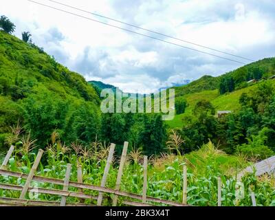 Catcat Hmong villaggio vicino Sapa (Chapa) nelle montagne del nord del Vietnam, Lào Cai, Vietnam Foto Stock