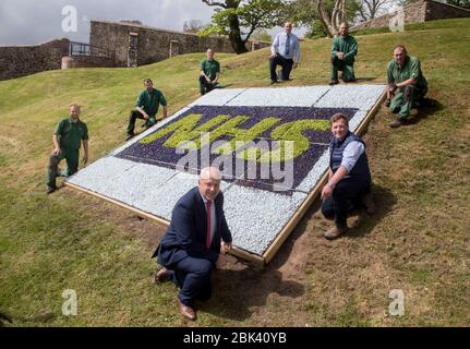 Lisburn, Irlanda del Nord. 1° maggio 2020. Il comune di Lisburn & Castlereagh sta piantando tre aiuole di fiori in riconoscimento della dedizione altruista del nostro personale sanitario come lavorano per salvare vite durante la pandemia di coronavirus. Il primo si trova all'interno dei Giardini del Castello, Lisburn, ed è visibile dalla Queen's Road. Gli altri due saranno in vigore la prossima settimana a Moat Park, Dundonald di fronte all'Ulster Hospital e alla rotonda di Hillsborough sulla A1. Credit: Steven McAuley/Alamy Live News Foto Stock