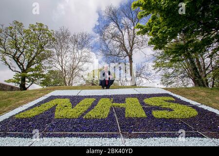 Lisburn, Irlanda del Nord. 1° maggio 2020. Il comune di Lisburn & Castlereagh sta piantando tre aiuole di fiori in riconoscimento della dedizione altruista del nostro personale sanitario come lavorano per salvare vite durante la pandemia di coronavirus. Il primo si trova all'interno dei Giardini del Castello, Lisburn, ed è visibile dalla Queen's Road. Gli altri due saranno in vigore la prossima settimana a Moat Park, Dundonald di fronte all'Ulster Hospital e alla rotonda di Hillsborough sulla A1. Credit: Steven McAuley/Alamy Live News Foto Stock