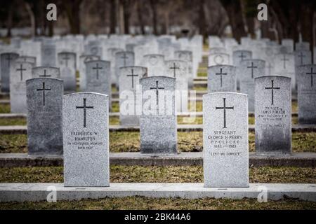 Lapidi militari nel campo d'onore, Brookside Cemetary, Winnipeg, Manitoba, Canada. Foto Stock