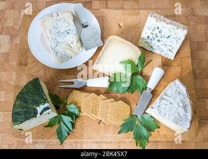 Presentazione del cibo del cheesboard mostra di formaggi artigianali: Aglio Yarg, Gorgonzola, Ossau Iraty, Blue d'Auvergne e Gorwydd Caerphilly formaggio Foto Stock