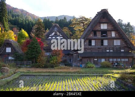 Villaggio storico di Shirakawago in Giappone Foto Stock