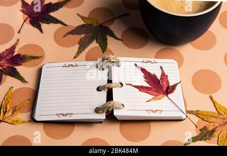 Notebook di piccole dimensioni e sono caduti in autunno le foglie su un tavolo Foto Stock