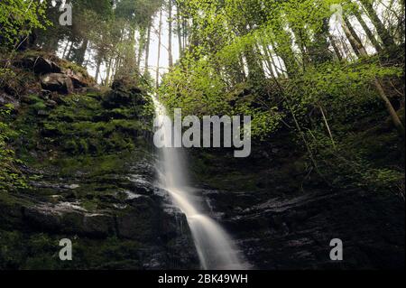 Cascata maggiore sul Nant Bwrefwr (ca 30 piedi). Foto Stock