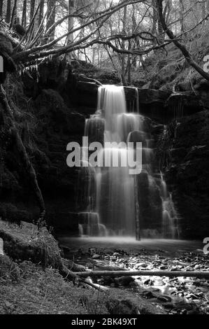 La terza ed ultima piccola cascata tra la cascata e la cascata principale sul Nant Bwrefwr. Foto Stock