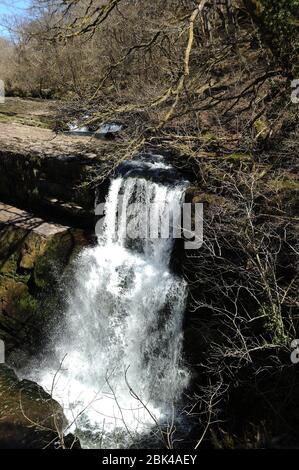 Sgwd Clun Gwyn Uchaf visto dal punto di vista sulla riva orientale della Mellte. Foto Stock