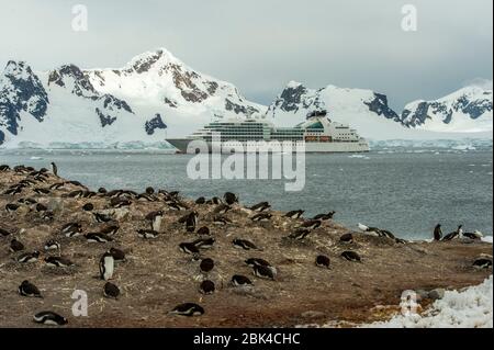 Nave da crociera Seabourn quest alla base cilena Gonz૥z Videla, sulla terraferma Antartica a Waterboat Point in Paradise Bay, con colonia di pinguini Gentoo (Py Foto Stock