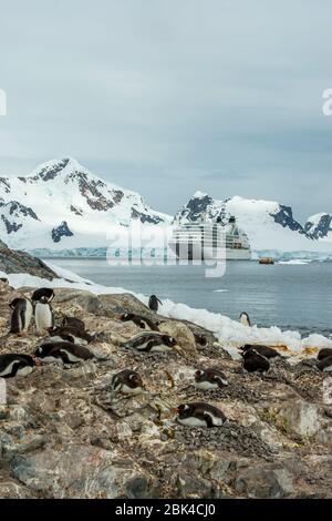 Nave da crociera Seabourn quest alla base cilena Gonz૥z Videla, sulla terraferma Antartica a Waterboat Point in Paradise Bay, con colonia di pinguini Gentoo (Py Foto Stock