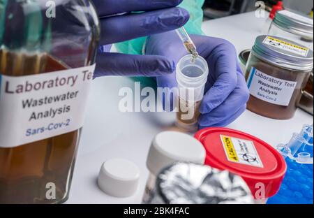 Analisi scientifica del campione di acque reflue in laboratorio, indagine di possibile contaminazione da parte di Sars-Cov-2 nell'uomo, immagine concettuale Foto Stock