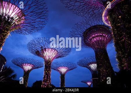 Il Supertree Grove illuminato a Gardens by the Bay a Singapore Foto Stock