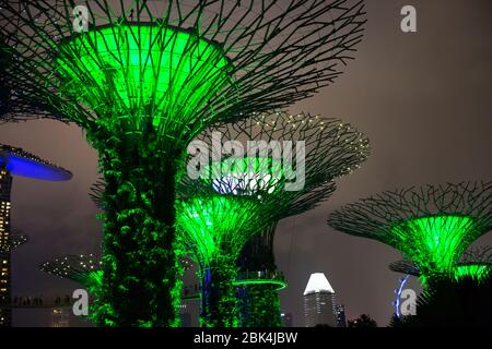 Il Supertree Grove illuminato a Gardens by the Bay a Singapore Foto Stock