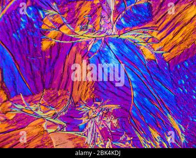 Cera per candele da micrscopia a luce polarizzata Foto Stock