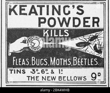 Vecchio annuncio del prodotto dell'assassino del bug dai primi anni 1900, prima dell'alba degli standard di pubblicità. Storia della pubblicità, vecchi annunci, storia della pubblicità Foto Stock