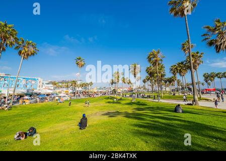 Vista delle palme e i visitatori su Ocean Front Walk in Venice Beach, Los Angeles, California, Stati Uniti d'America, America del Nord Foto Stock