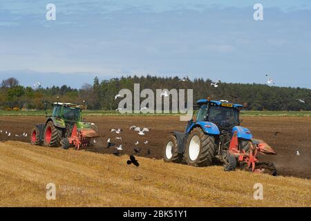 28 aprile 2020. Farm, Elgin, Moray, Scozia, Regno Unito. Si tratta di due trattori che arano un campo in un pomeriggio di primavera soleggiato a Moray, Scozia. Foto Stock