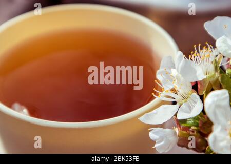 Bicchiere luminoso e soleggiato con primo piano per il tè aromatizzato alla primavera. Fiori bianchi in fiore di ciliegia su tazza con riflessione. Stile di vita natura all'aperto romantico Foto Stock