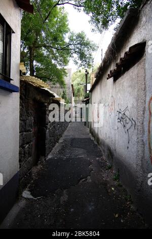 Città del Messico, Messico - 2019: Il Callejon del Agacate (Avocado Alley) è un famoso vicolo tipico nel tradizionale quartiere Coyoacan. Foto Stock