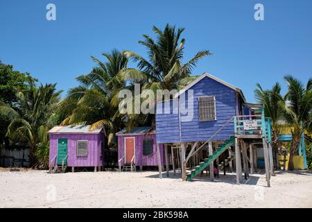 Case colorate e palme sulla spiaggia in una giornata di sole. Foto Stock